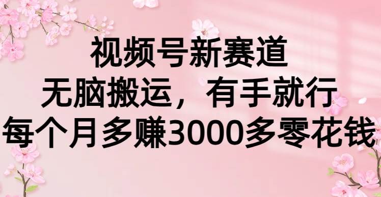 视频号新赛道，无脑搬运，有手就行，每个月多赚3000多零花钱-蓝图副业