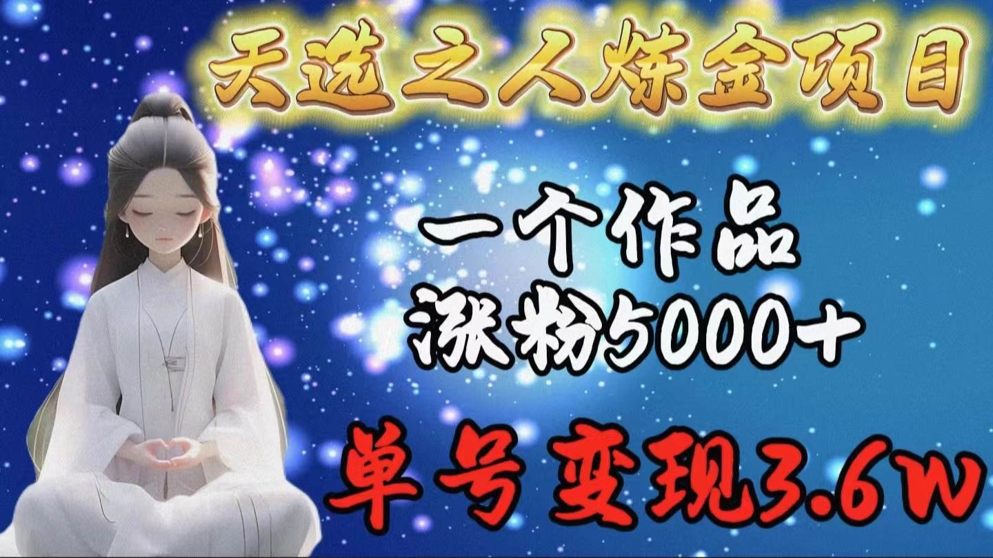 天选之人炼金项目，一个作品涨粉5000+，单号变现3.6w-蓝图副业