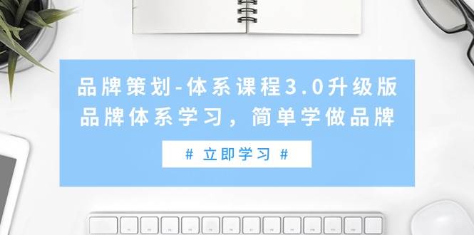 品牌策划-体系课程3.0升级版，品牌体系学习，简单学做品牌（高清无水印）-蓝图副业