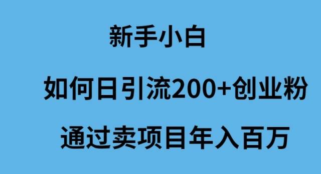 新手小白如何日引流200+创业粉通过卖项目年入百万-蓝图副业