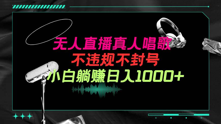 抖音24小时无人直播音乐，不违规，不封号纯撸音浪，小白实操当天日入1000+-蓝图副业