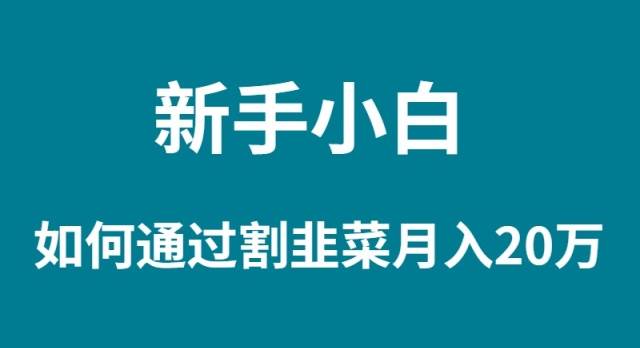 新手小白如何通过割韭菜月入 20W-蓝图副业