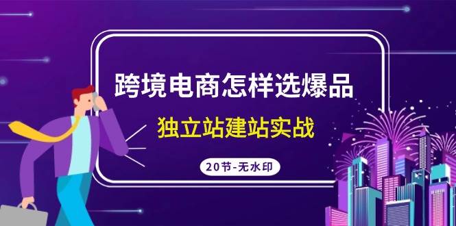 跨境电商怎样选爆品，独立站建站实战（20节高清无水印课）-蓝图副业