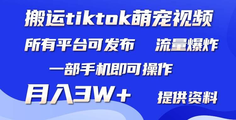 搬运Tiktok萌宠类视频，一部手机即可。所有短视频平台均可操作，月入3W+-蓝图副业