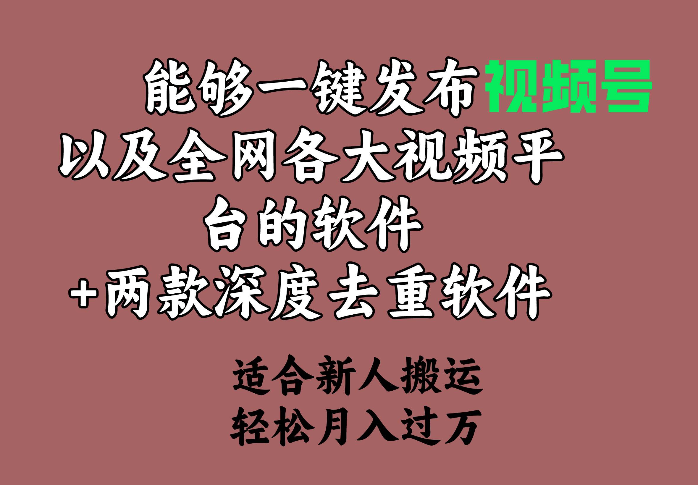 能够一键发布视频号以及全网各大视频平台的软件+两款深度去重软件 适合...-蓝图副业