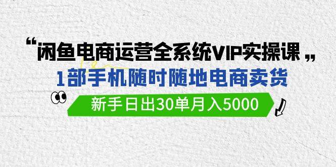 闲鱼电商运营全系统VIP实战课，1部手机随时随地卖货，新手日出30单月入5000-蓝图副业
