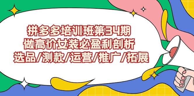 拼多多培训班第34期：做高价女装必盈利剖析  选品/测款/运营/推广/拓展-蓝图副业