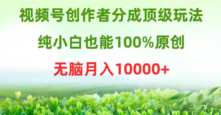 视频号创作者分成顶级玩法，纯小白也能100%原创，无脑月入10000+-蓝图副业