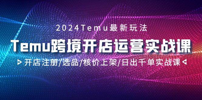 2024Temu跨境开店运营实战课，开店注册/选品/核价上架/日出千单实战课-蓝图副业