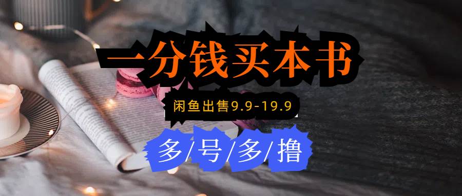 每天花1分钱买一本书，闲鱼出售9.9-19.9不等，多账号多撸 新手小白均可操作-蓝图副业
