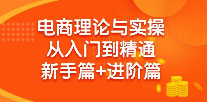 电商理论与实操从入门到精通 新手篇+进阶篇-蓝图副业