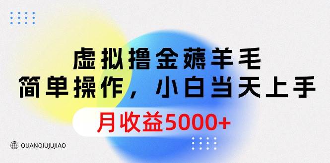 虚拟撸金薅羊毛，简单操作，小白当天上手，月收益5000+-蓝图副业