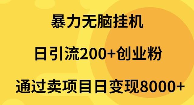 暴力无脑挂机日引流200+创业粉通过卖项目日变现2000+-蓝图副业