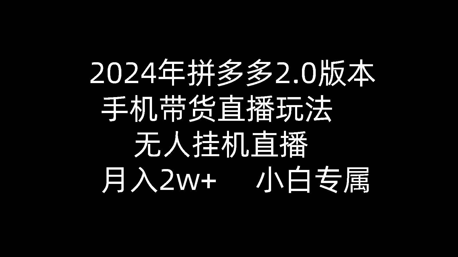 2024年拼多多2.0版本，手机带货直播玩法，无人挂机直播， 月入2w+， 小…-蓝图副业