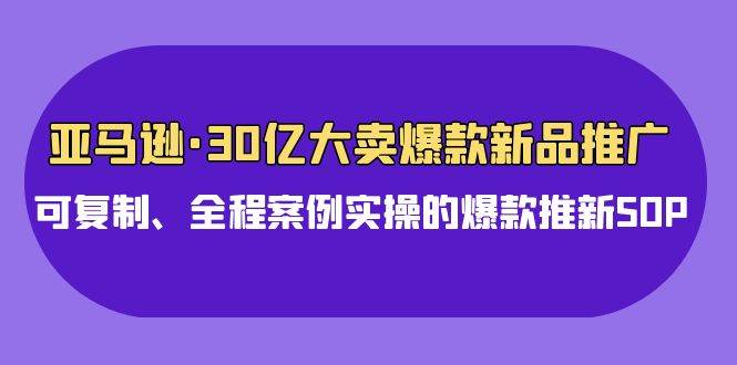 亚马逊30亿·大卖爆款新品推广，可复制、全程案例实操的爆款推新SOP-蓝图副业