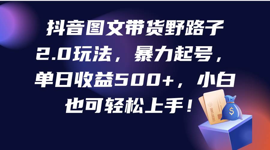 抖音图文带货野路子2.0玩法，暴力起号，单日收益500+，小白也可轻松上手！-蓝图副业