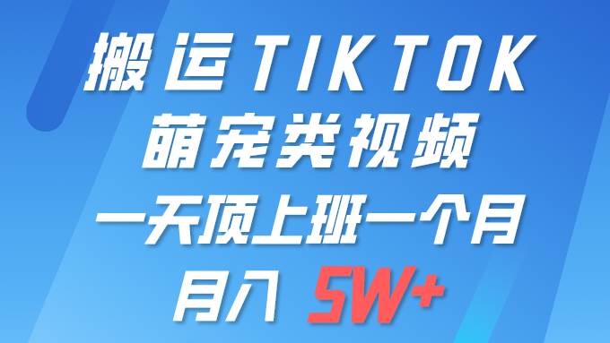 一键搬运TIKTOK萌宠类视频 一部手机即可操作 所有平台均可发布 轻松月入5W+-蓝图副业