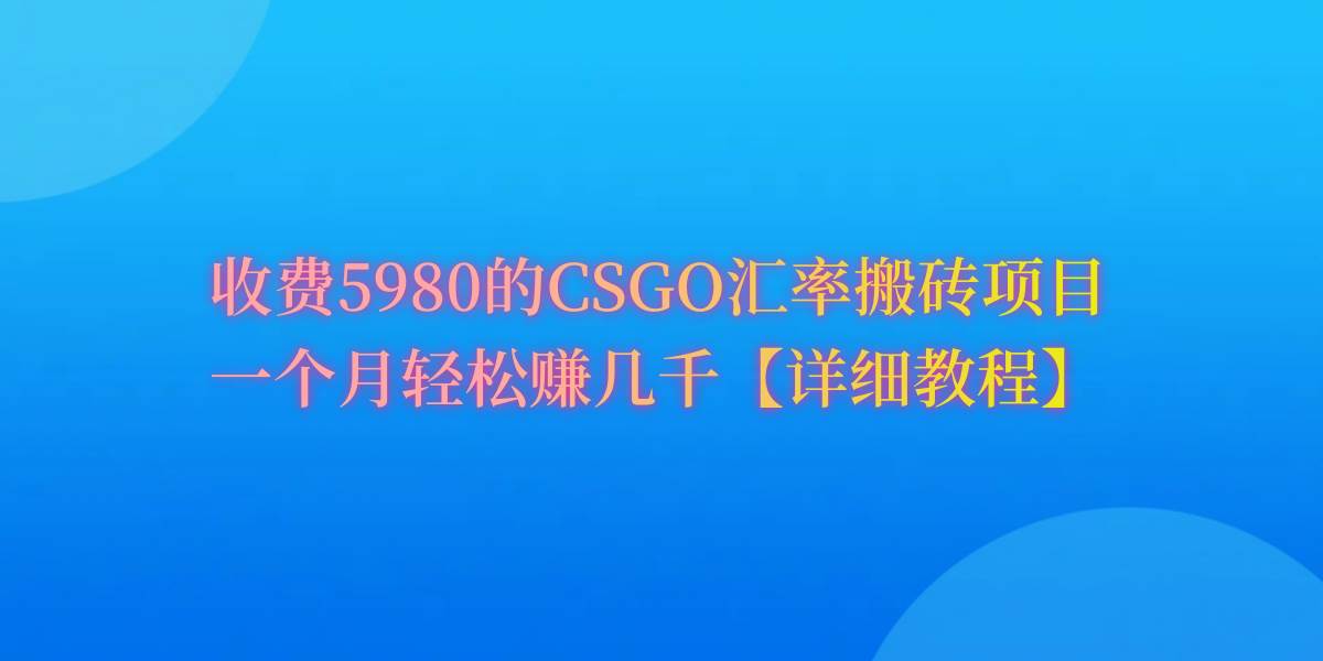 CSGO装备搬砖，月综合收益率高达60%，你也可以！-蓝图副业
