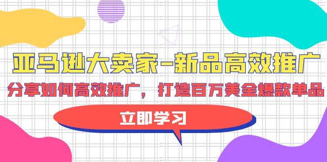 亚马逊 大卖家-新品高效推广，分享如何高效推广，打造百万美金爆款单品-蓝图副业