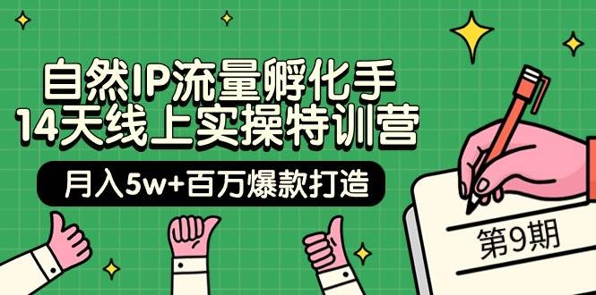 自然IP流量孵化手 14天线上实操特训营【第9期】月入5w+百万爆款打造 (74节)-蓝图副业