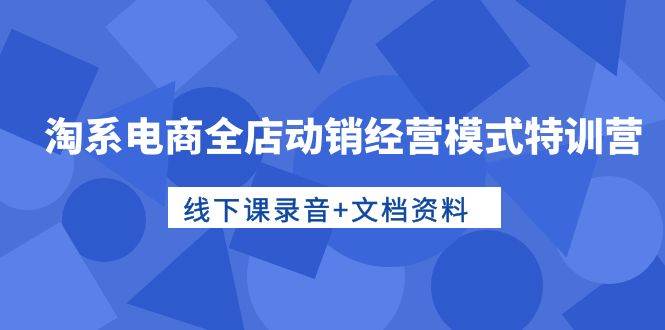 淘系电商全店动销经营模式特训营，线下课录音+文档资料-蓝图副业