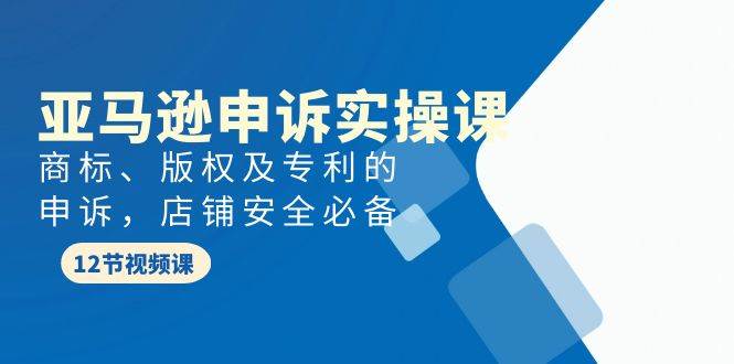 亚马逊-申诉实战课，商标、版权及专利的申诉，店铺安全必备-蓝图副业