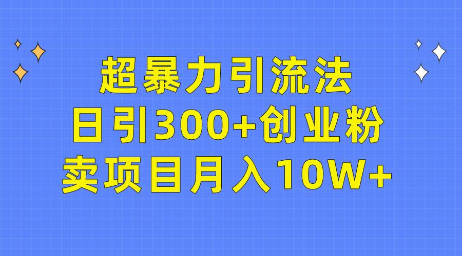 超暴力引流法，日引300+创业粉，卖项目月入10W+-蓝图副业