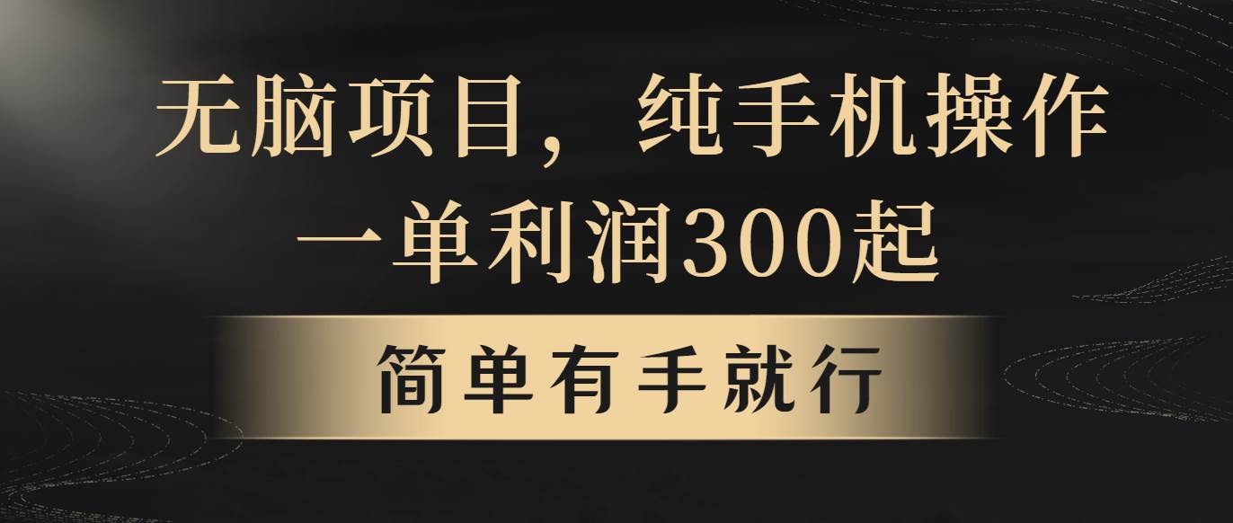 无脑项目，一单几百块，轻松月入5w+，看完就能直接操作-蓝图副业
