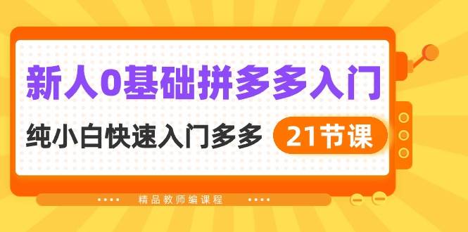 新人0基础拼多多入门，纯小白快速入门多多（21节课）-蓝图副业