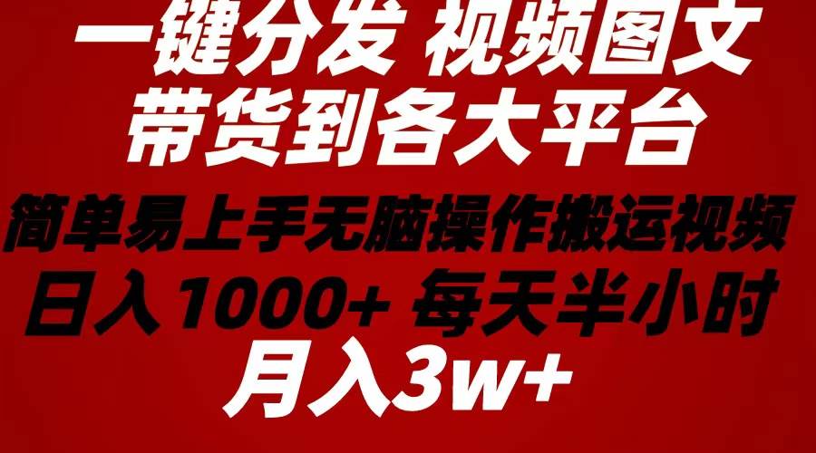 2024年 一键分发带货图文视频  简单易上手 无脑赚收益 每天半小时日入1…-蓝图副业