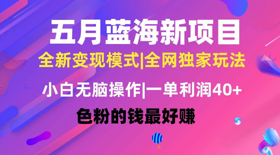 五月蓝海项目全新玩法，小白无脑操作，一天几分钟，矩阵操作，月入4万+-蓝图副业