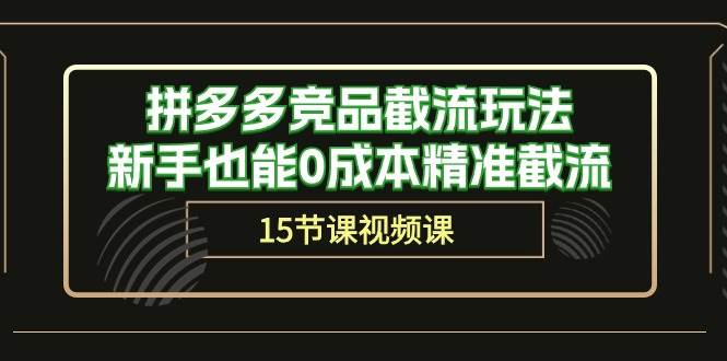 拼多多竞品截流玩法，新手也能0成本精准截流（15节课）-蓝图副业