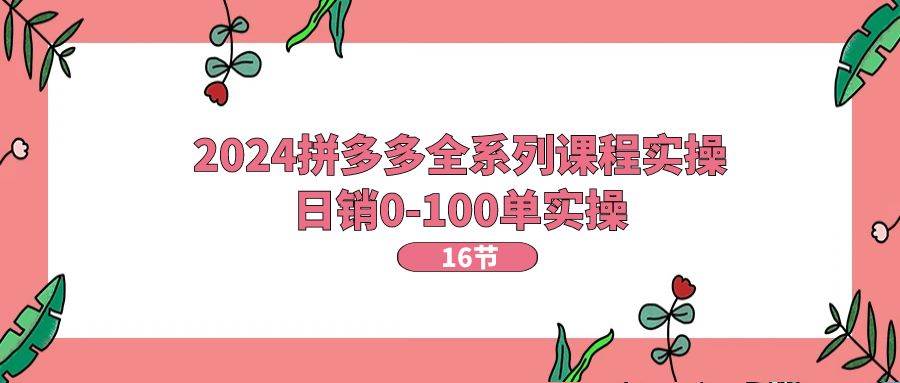 2024拼多多全系列课程实操，日销0-100单实操【16节课】-蓝图副业