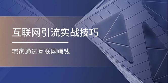 互联网引流实操技巧(适合微商，吸引宝妈)，宅家通过互联网赚钱（17节）-蓝图副业
