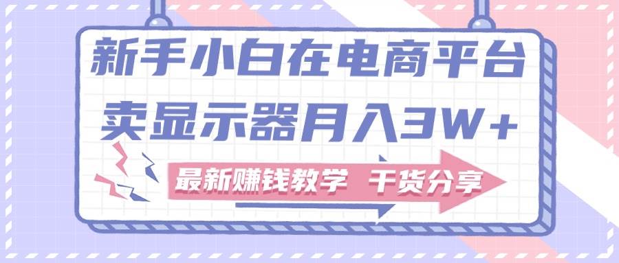 新手小白如何做到在电商平台卖显示器月入3W+，最新赚钱教学干货分享-蓝图副业