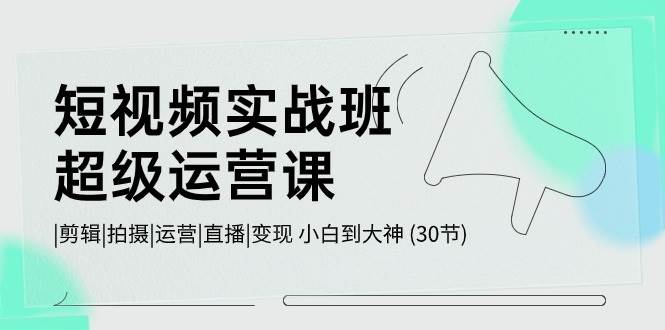 短视频实战班-超级运营课，|剪辑|拍摄|运营|直播|变现 小白到大神 (30节)-蓝图副业