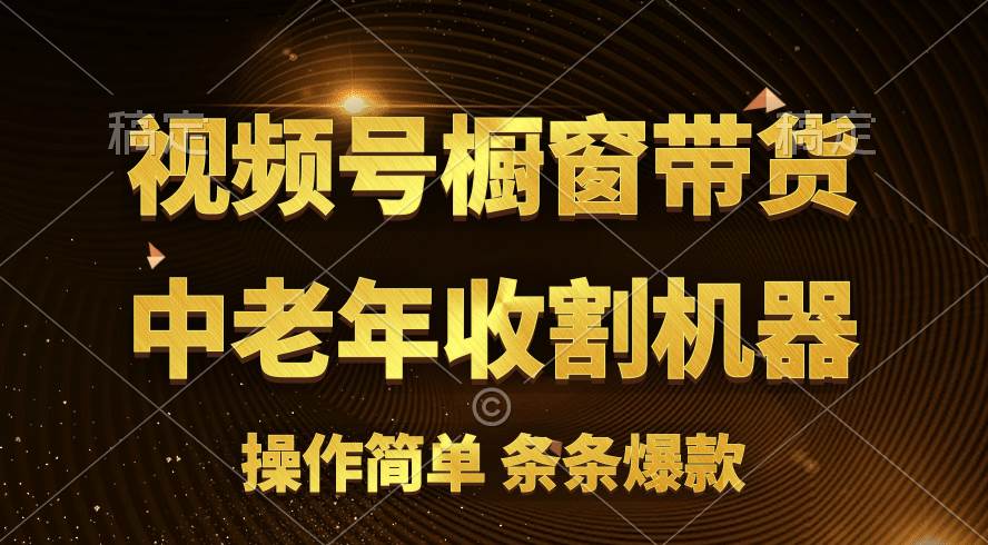 [你的孩子成功取得高位]视频号最火爆赛道，橱窗带货，流量分成计划，条…-蓝图副业