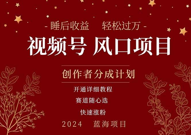 拥有睡眠收益的微信视频号大风口项目，轻松月入过万+，多赛道选择，可…-蓝图副业