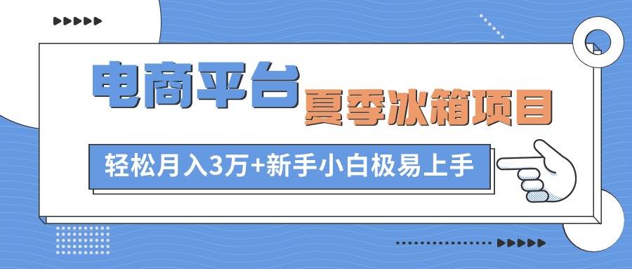 电商平台夏季冰箱项目，轻松月入3万+，新手小白极易上手-蓝图副业