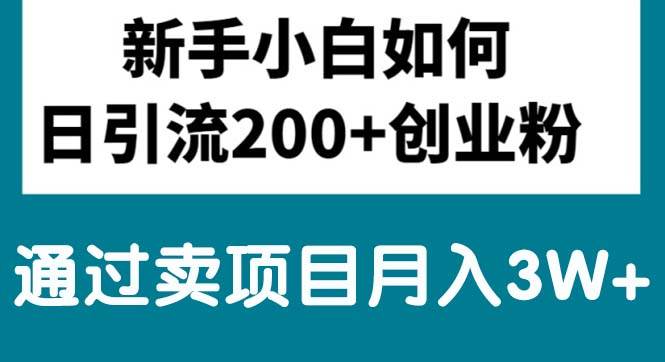 新手小白日引流200+创业粉,通过卖项目月入3W+-蓝图副业