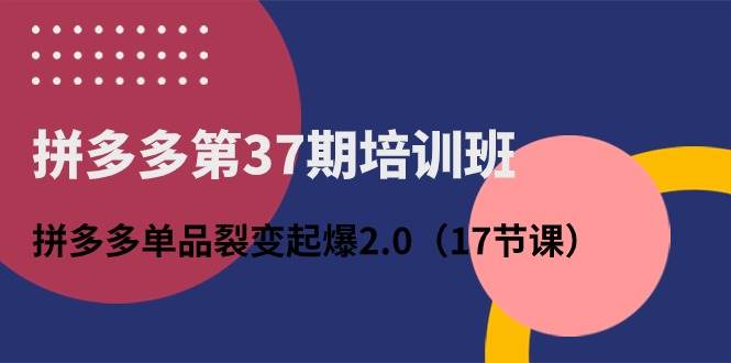 拼多多第37期培训班：拼多多单品裂变起爆2.0（17节课）-蓝图副业