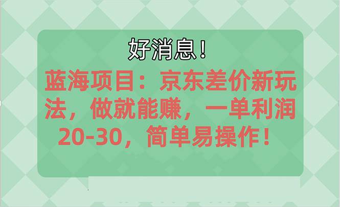 越早知道越能赚到钱的蓝海项目：京东大平台操作，一单利润20-30，简单…-蓝图副业