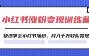 2024小红书涨粉变现训练营,快速学会小红书涨粉,月入十万轻松变现(40节)-蓝图副业