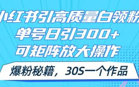 小红书引高质量白领粉,单号日引300+,可放大操作,爆粉秘籍!30s一个作品-蓝图副业