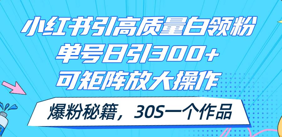 小红书引高质量白领粉，单号日引300+，可放大操作，爆粉秘籍！30s一个作品-蓝图副业