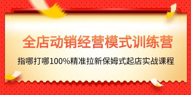 全店动销-经营模式训练营，指哪打哪100%精准拉新保姆式起店实战课程-蓝图副业