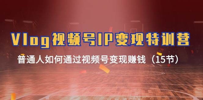 Vlog 视频号IP变现特训营，普通人如何通过视频号变现赚钱（15节）-蓝图副业