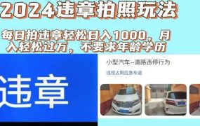 2024违章拍照新玩法，推广躺赚+拍照赚钱双模式，日入1000+-蓝图副业