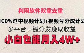 利用软件双重去重，100%过中视频+视频号分成计划小白也可以月入4W+-蓝图副业