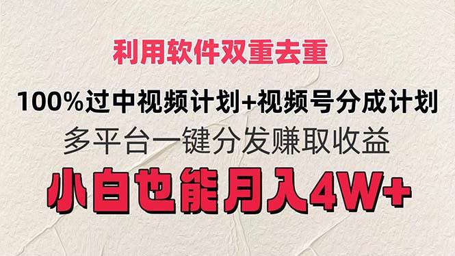 利用软件双重去重，100%过中视频+视频号分成计划小白也可以月入4W+-蓝图副业